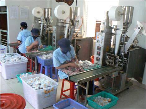 Máy đóng gói trà túi lọc