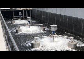 Máy khuấy bề mặt