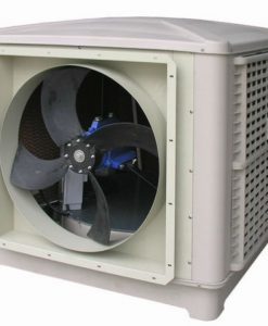 Máy làm mát nhà xưởng bằng hơi nước