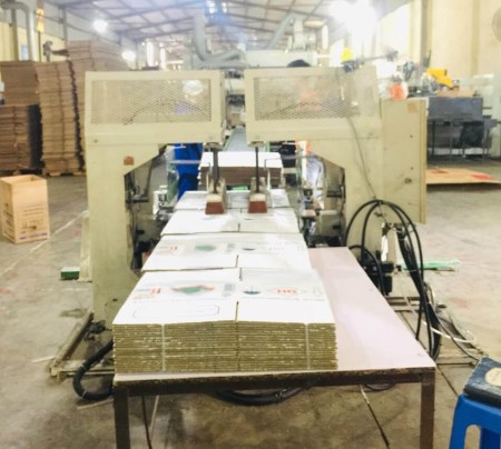 Máy dán bó tự động