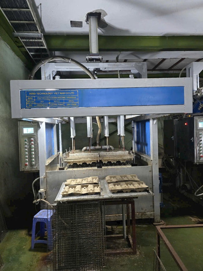 Máy định hình khay giấy