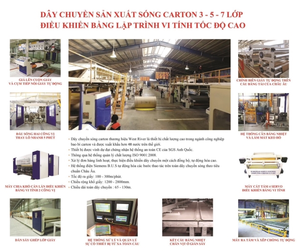 Máy móc bao bì giấy