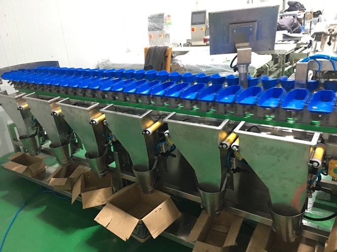 Máy phân loại thực phẩm