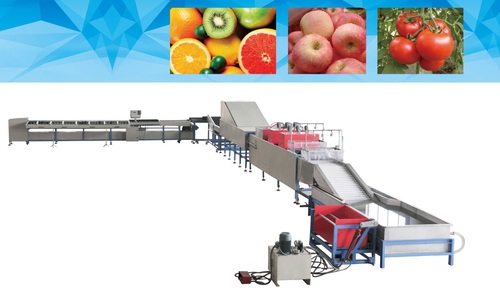 Máy rửa đóng gói hoa quả