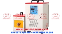 Lò nung điện cao tần 100KVA Bluware