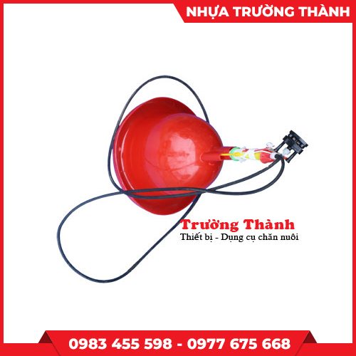 Máy uống nước tự động