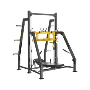 Máy đạp đùi V24 VERTICAL LEG PRESS