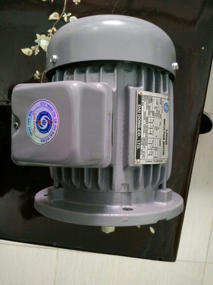 Motor đứng Đại Đồng