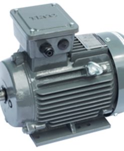 Motor điện Teco chân đế 0.75kw