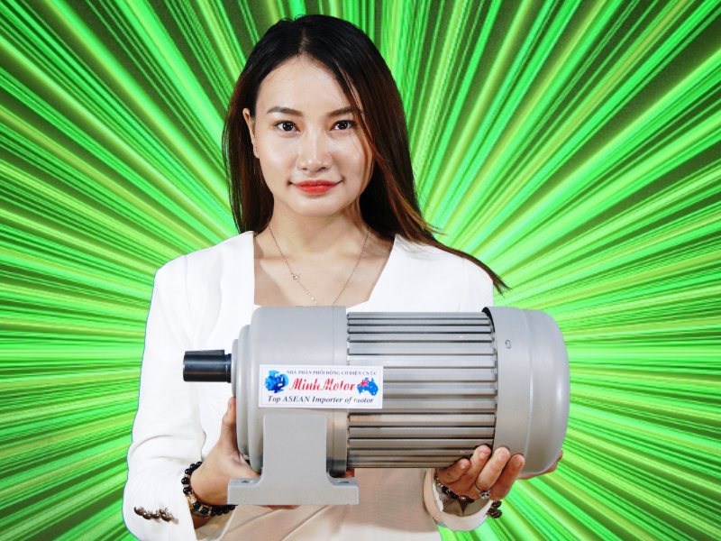 Motor giảm tốc