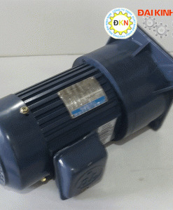 Motor giảm tốc Dolin mặt bích