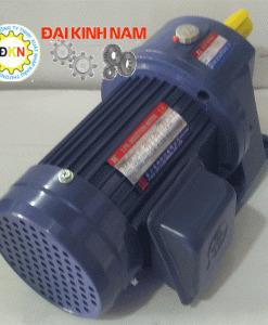 Motor giảm tốc Tunglee chân đế