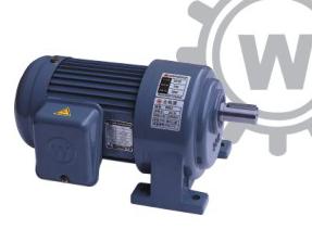 Động cơ điện Sơn Phát