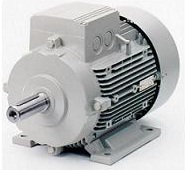 Motor Seimen