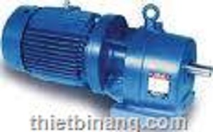 Motor dầm biên