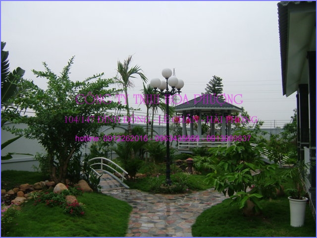 Thi công cảnh quan