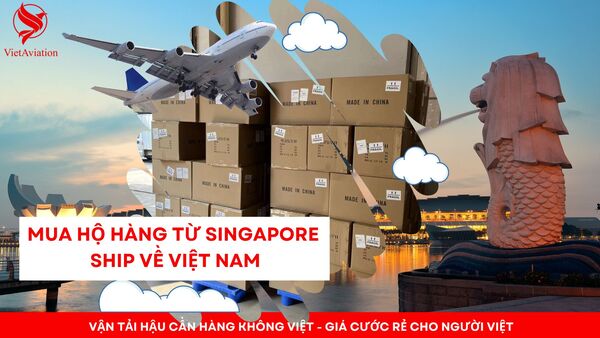 Mua hộ hàng từ Singapore ship về Việt Nam