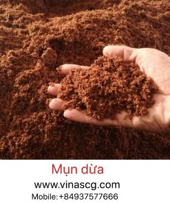 Mụn dừa, xơ dừa đã xử lý chat