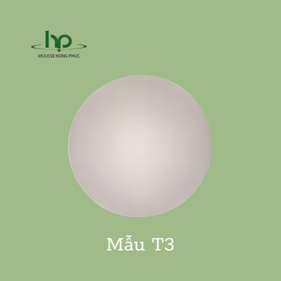 Mút lót áo - Mã T3
