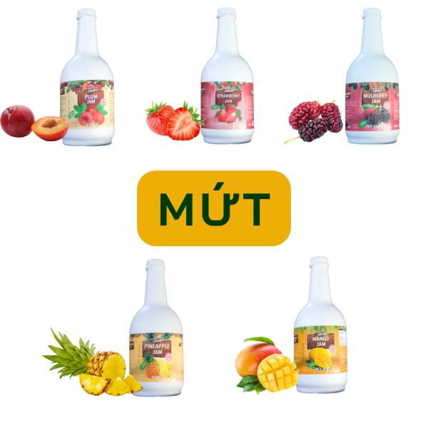 Mứt