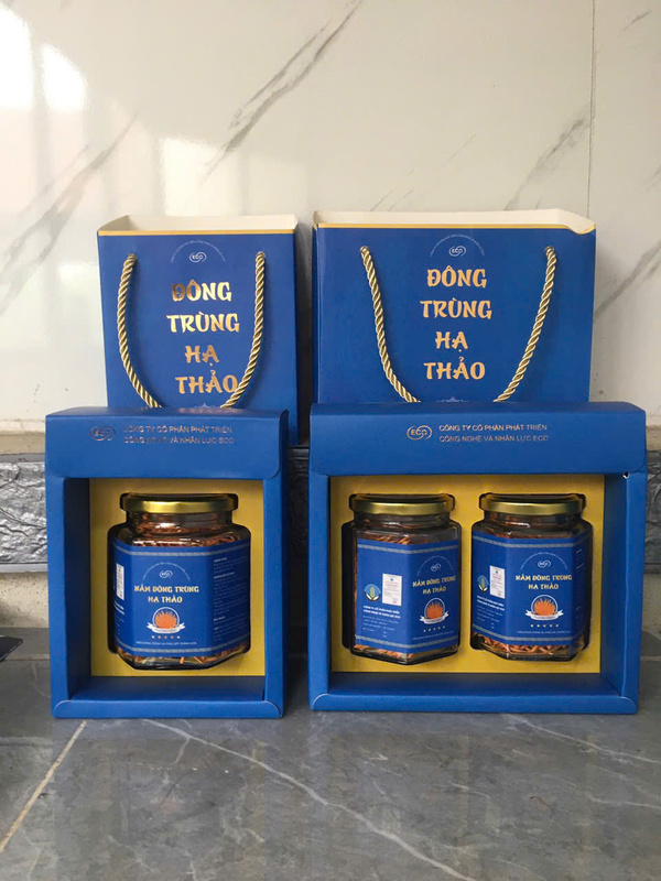 Nấm đông trùng hạ thảo đóng hộp