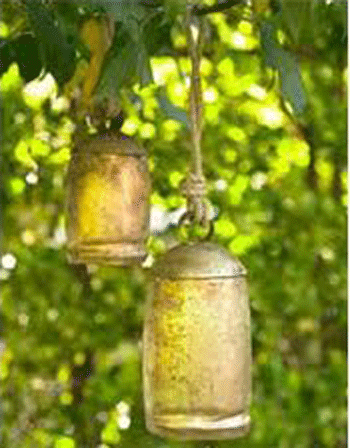 Nắp chụp