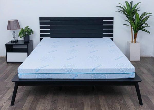 Nệm Rosi Massage Thắng Lợi