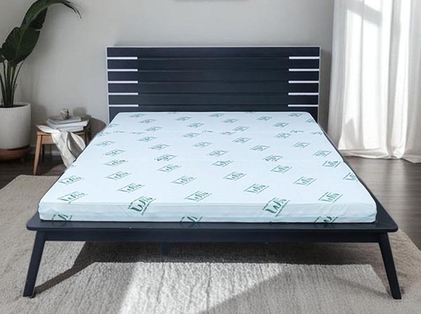 Nệm Super Win Thắng Lợi