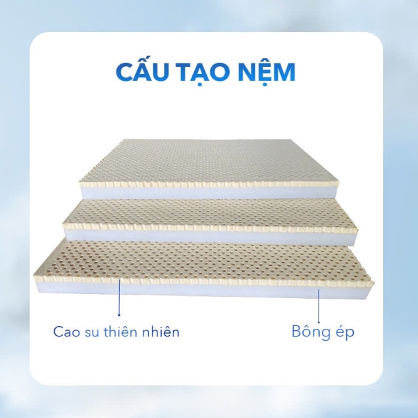 Nệm cao su bông ép Happy Dream