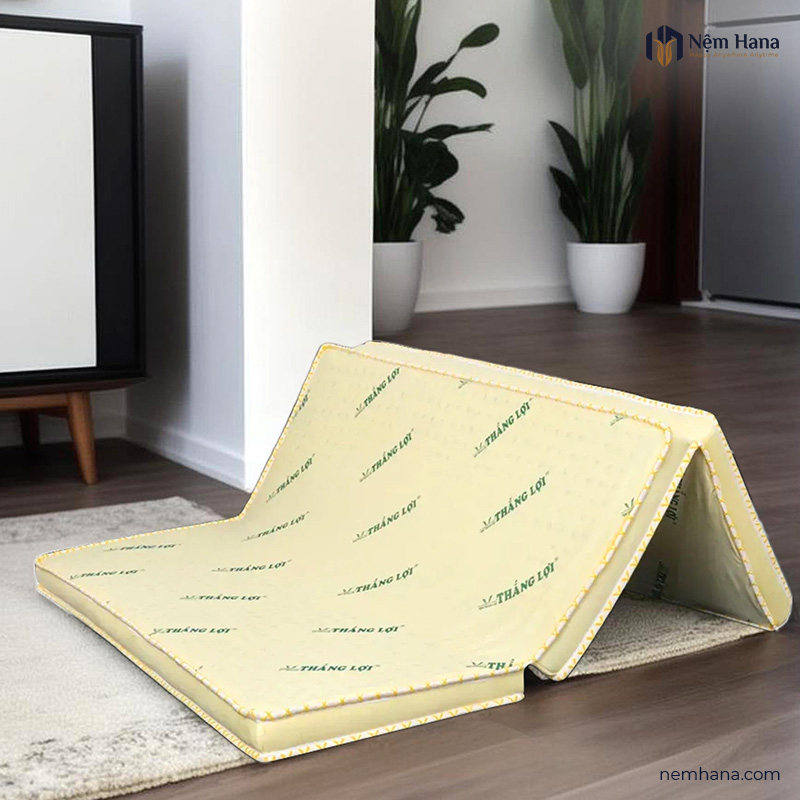 Nệm cao su non Thắng Lợi gấp 3