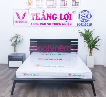 Nệm cao su non cao cáp Thắng Lợi