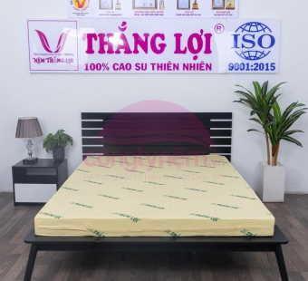 Nệm cao su non Thắng Lợi