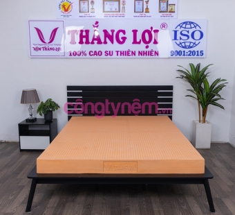 Nệm cao su thiên nhiên Thắng Lợi Susu - Original
