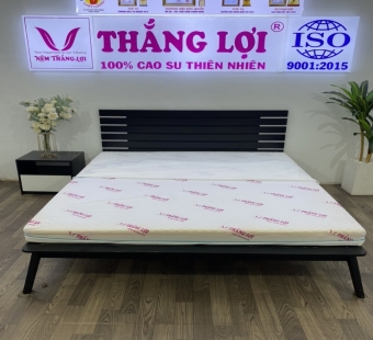 Nệm Foam cao cấp massage Thắng Lợi