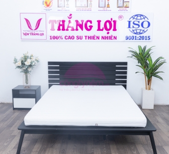 Nệm Foam cao cấp Thắng Lợi