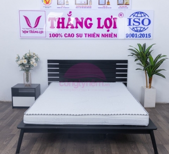 Nệm Memory Foam Thắng Lợi