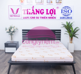 Nệm Super Win Foam