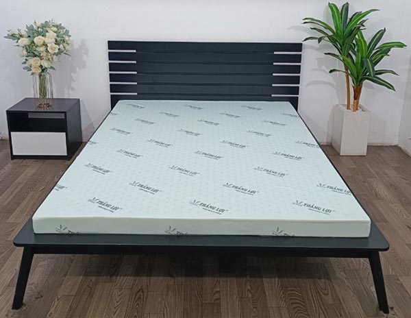 Nệm cao su hoạt tính Thắng Lợi