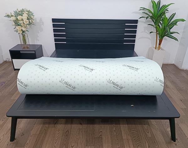 Nệm cao su hoạt tính Thắng Lợi