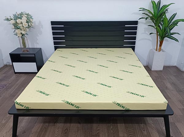 Nệm cao su non Thắng Lợi