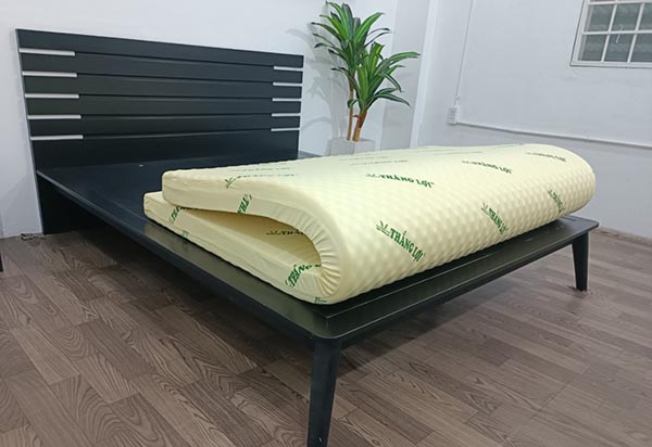 Nệm cao su non Massage Thắng Lợi