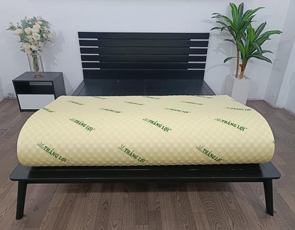 Nệm cao su non Massage Thắng Lợi