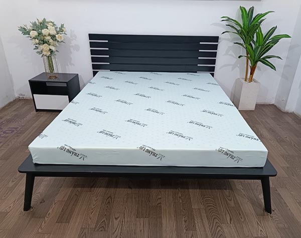 Nệm cao su hoạt tính Thắng Lợi