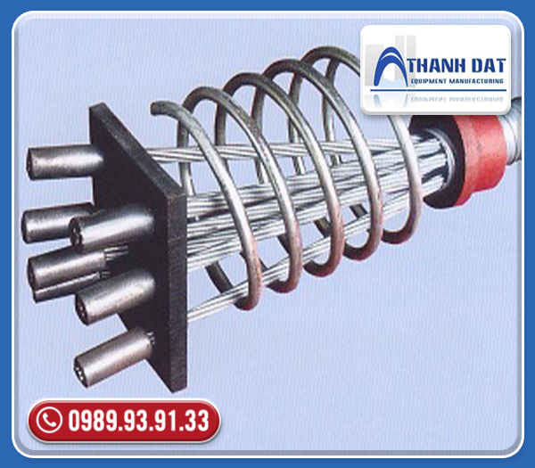 Neo cố định hình P
