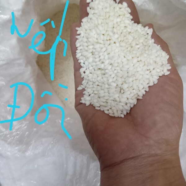 产品与服务