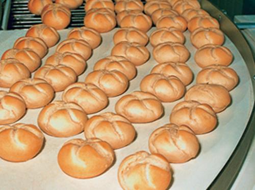 Băng tải nhựa ngành thực phẩm