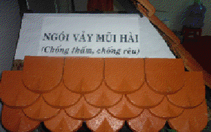 Ngói mũi hài chống thấm, chống rêu