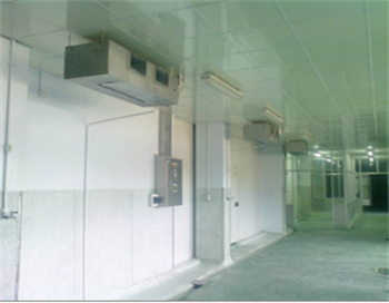 Nhà máy chế biến thủy sản Hàn Quốc