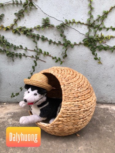 Nhà cún miệng bên