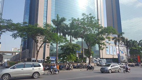 Cho thuê nhà phố